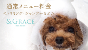 トリミング料金 トリミングサロン Grace アンドグレイス 姫路